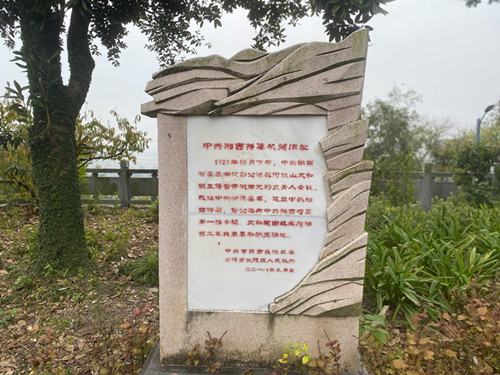 图片8_副本.jpg